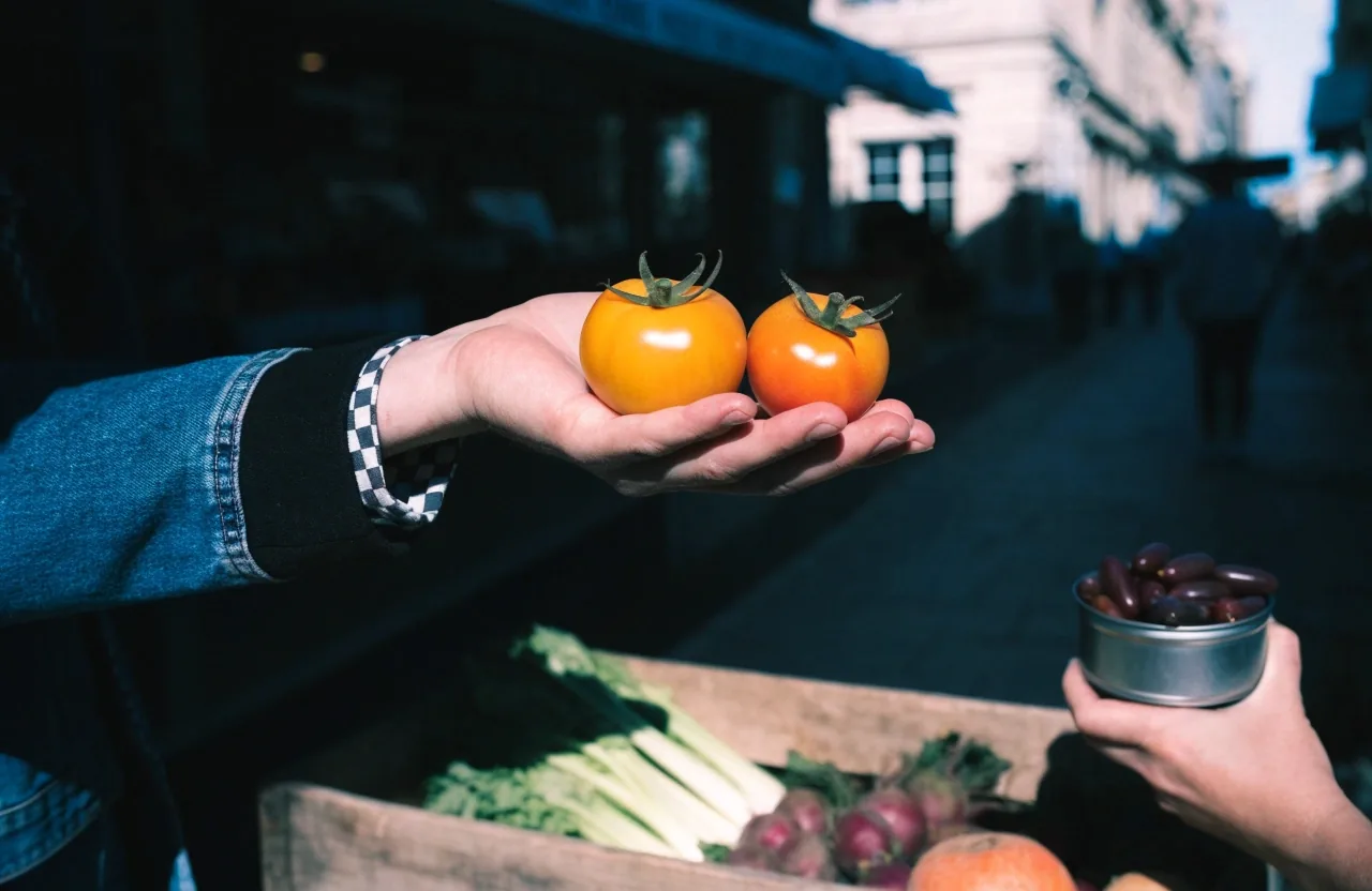 Tomates mûres et une gélule non étiquetée posée sur un fond blanc cassé, lumière dure de midi